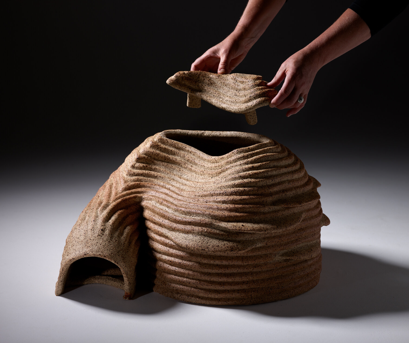 Forum: Jane Bamford & Sue Robey: International Artist Residencies