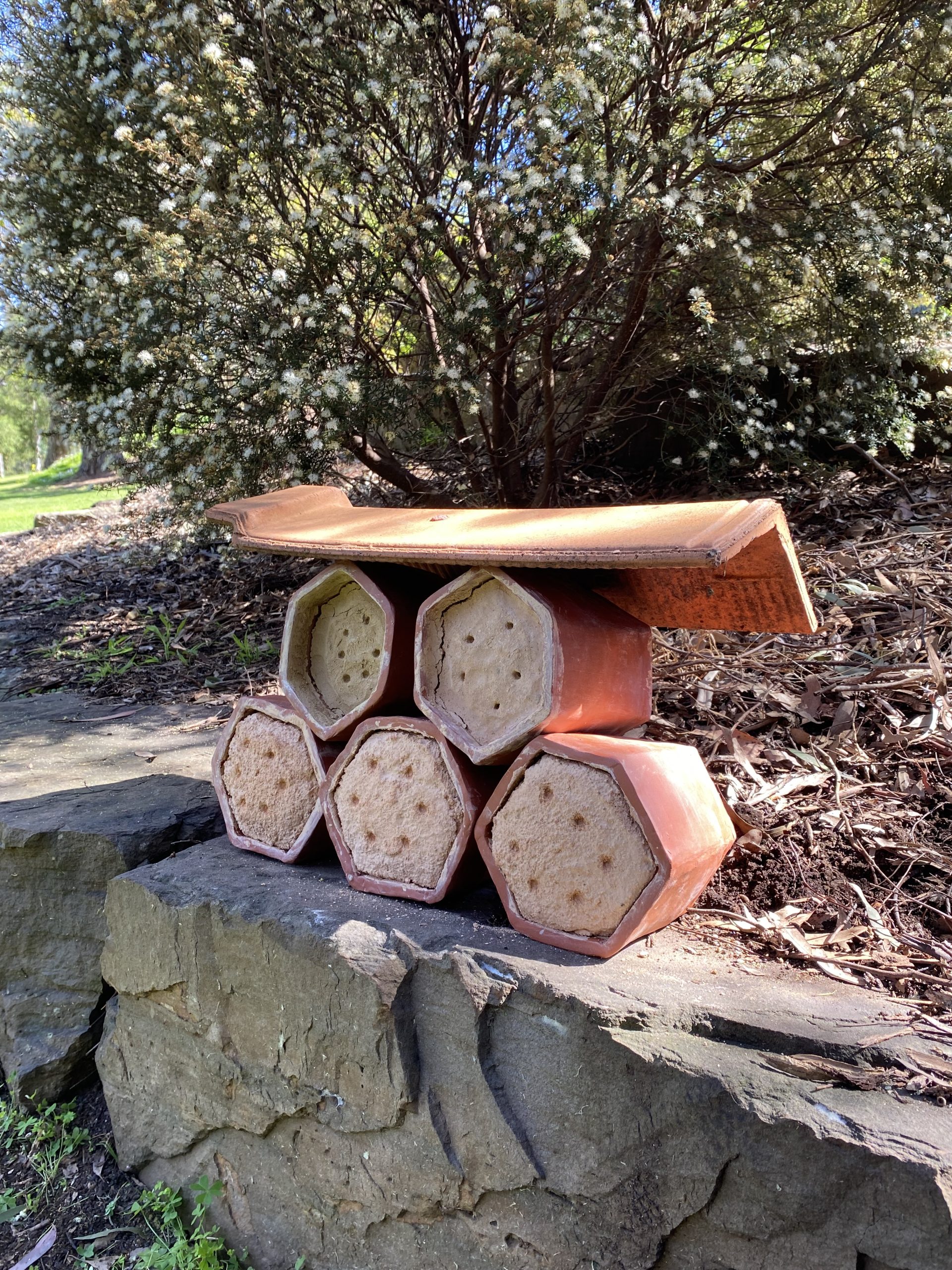 Clay habitat installed in an outdoor setting